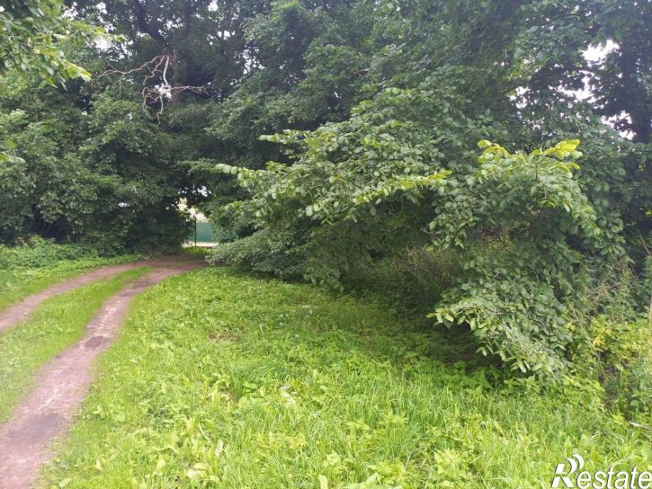 Земельный участок Новгородский район